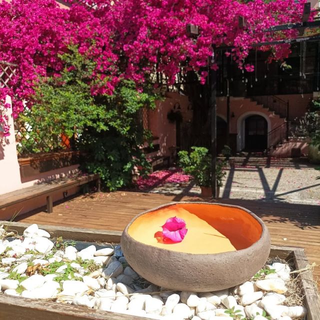Get ready for summer cause it's only a day away!
Big and bright statement bowl
#handmade #ceramics #handmadepottery #handmadeceramics #ceramicbowl #bowl #handbuilt #potterslife #pottersfun #pottery #art #greekceramics #ceramicsingreece #boniskilns #ceramicstudio