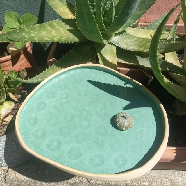Organic shaped platter with sea urchins' imprints 
#handmade #ceramics #handmadeceramics
#ceramicplatter #organicshapes #pottersfun #ceramicart #pottery #art #greekceramics #ceramicsingreece #ceramicstudio #boniskilns